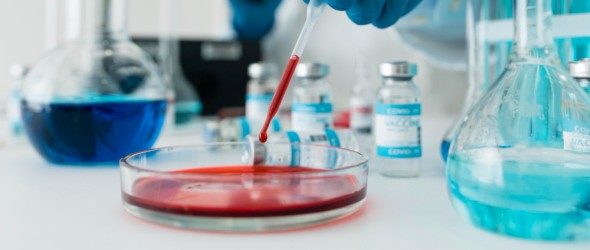 Nuove prospettive per i tumori del sangue grazie a Car-T e cellule T a memoria staminale